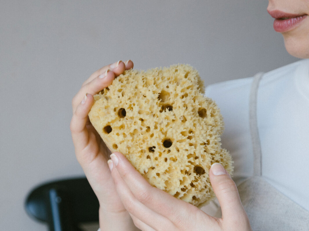 Spugna Di Mare