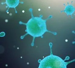 microbiota cutaneo batteri