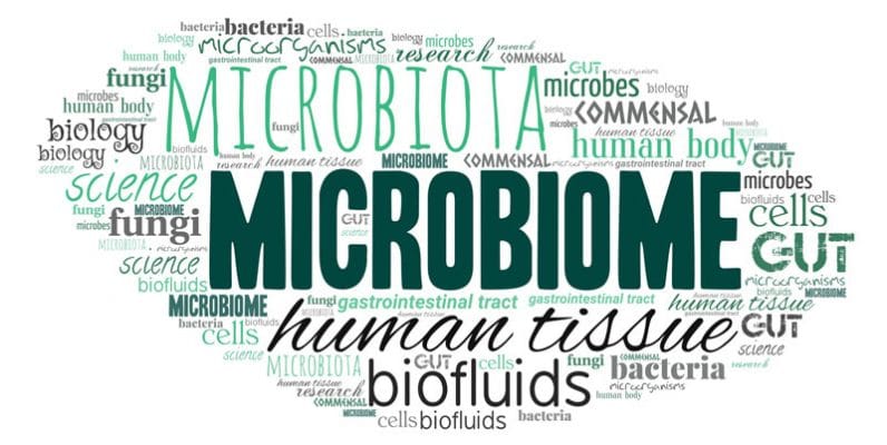 microbiota cutaneo ecosistema