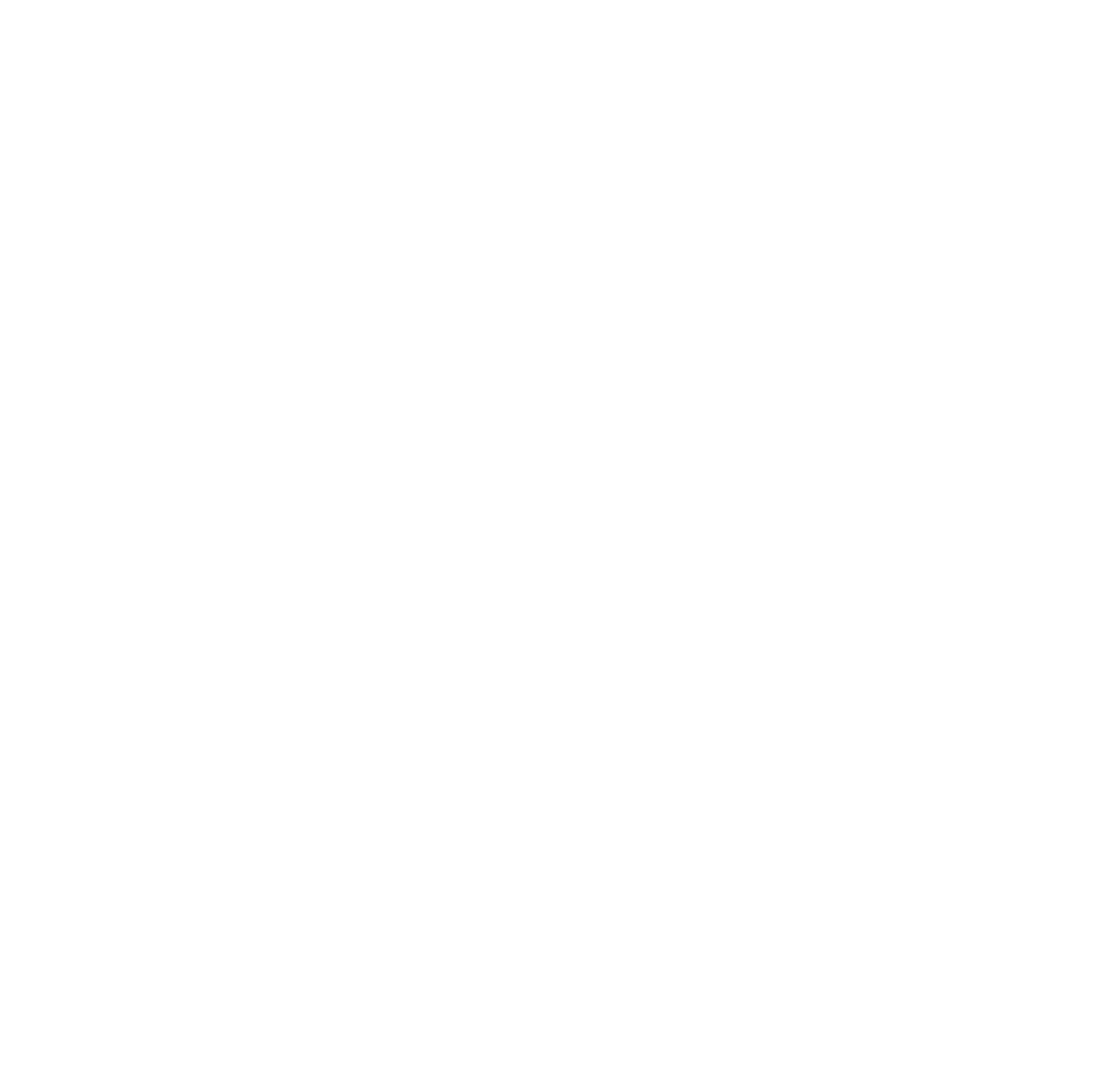 Ico Doc